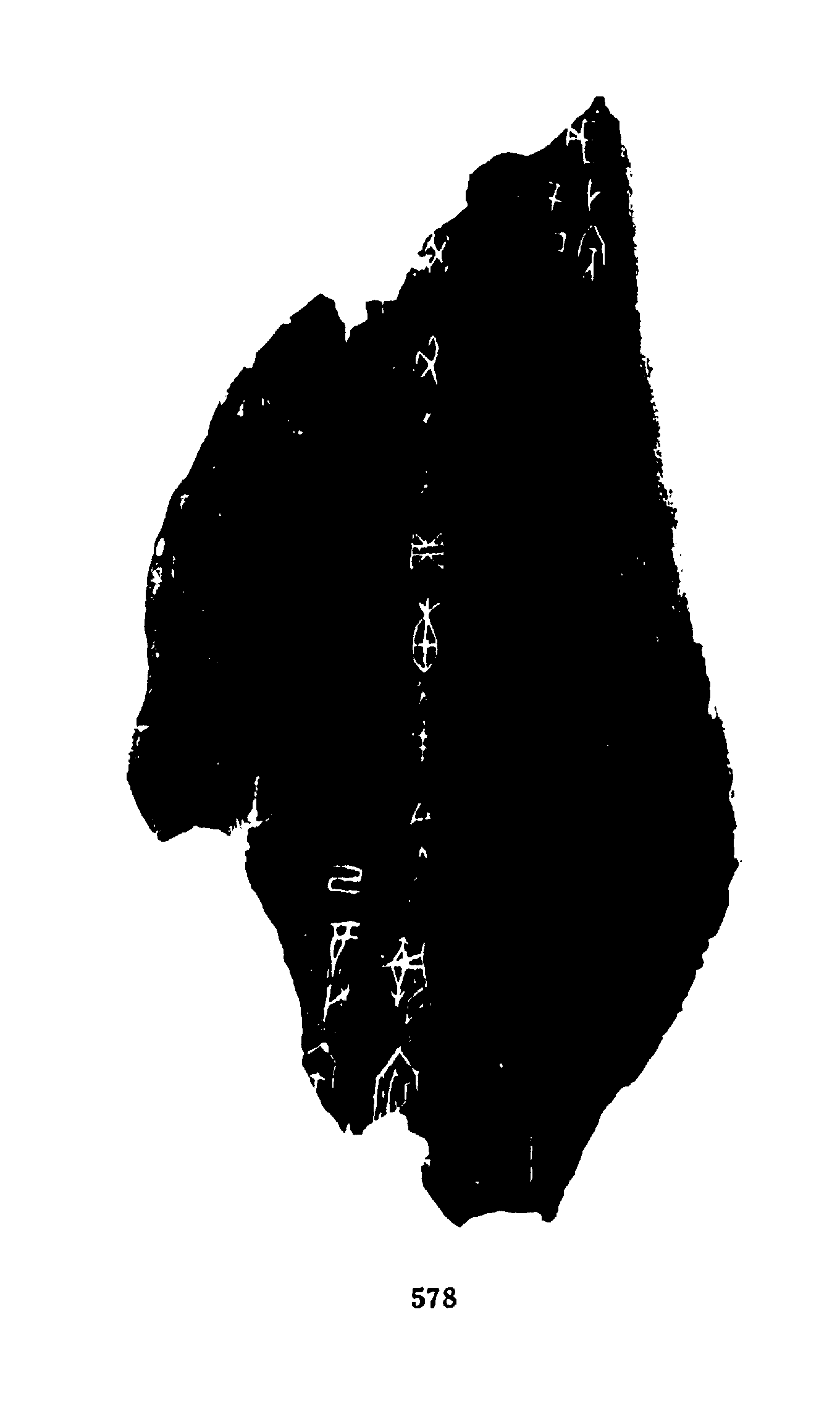 点击图片看大图
