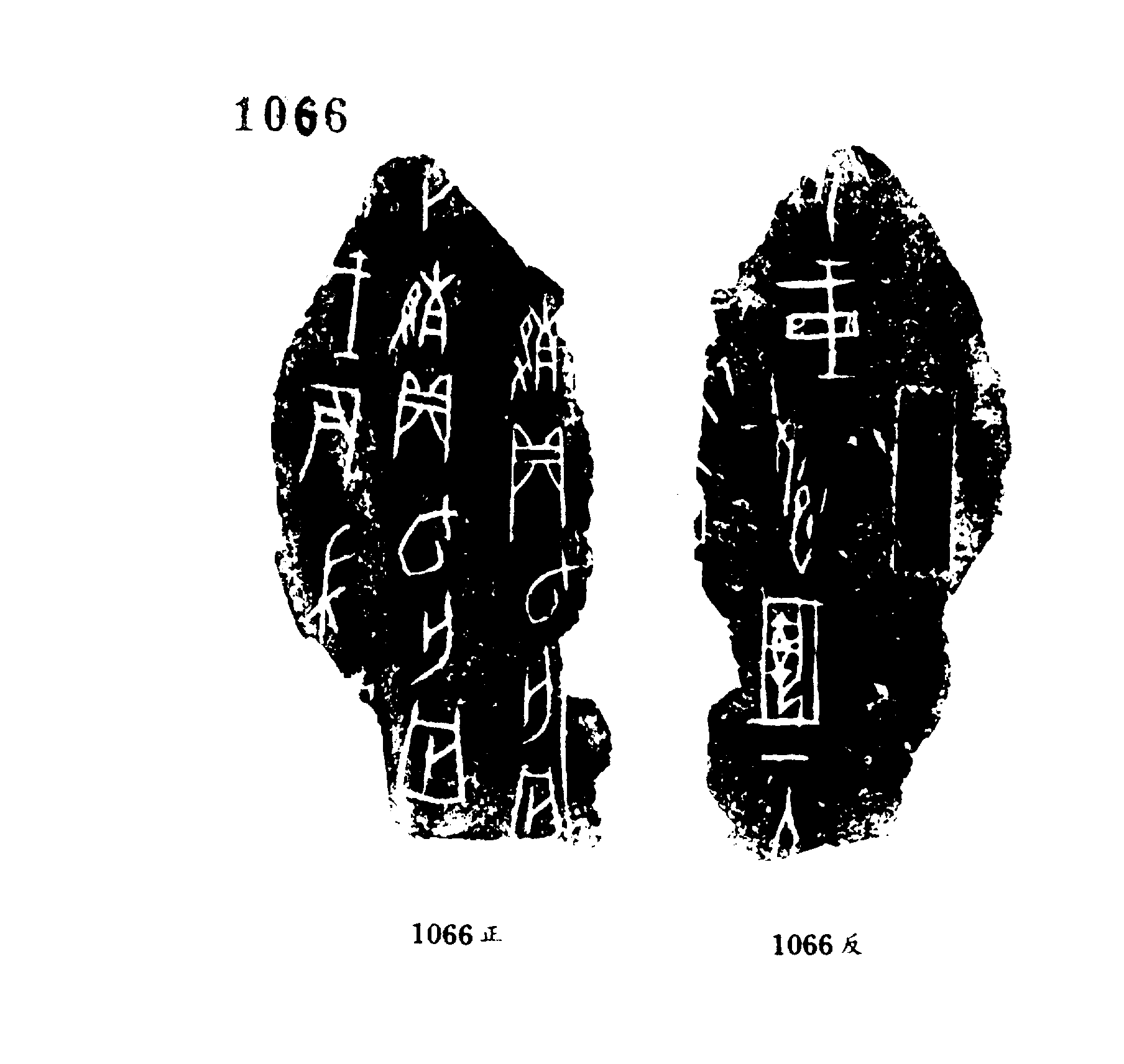 点击图片看大图
