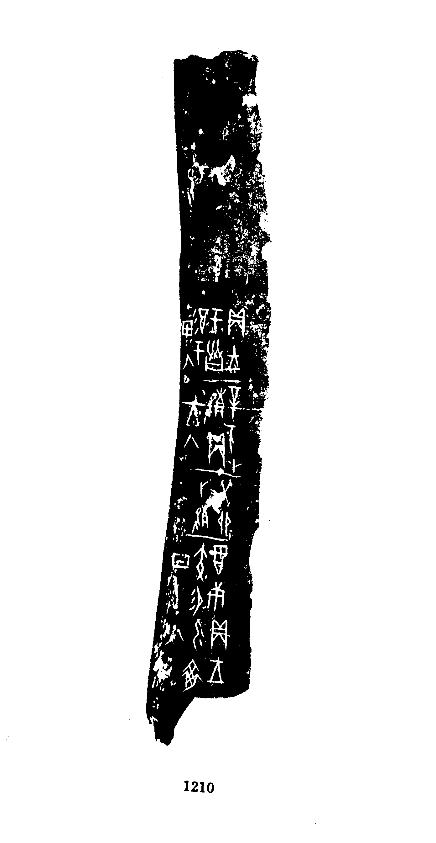 点击图片看大图