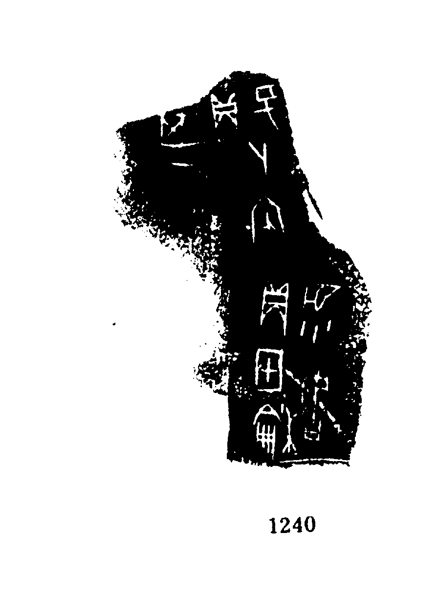 点击图片看大图