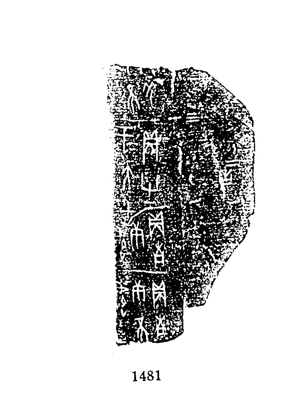 点击图片看大图