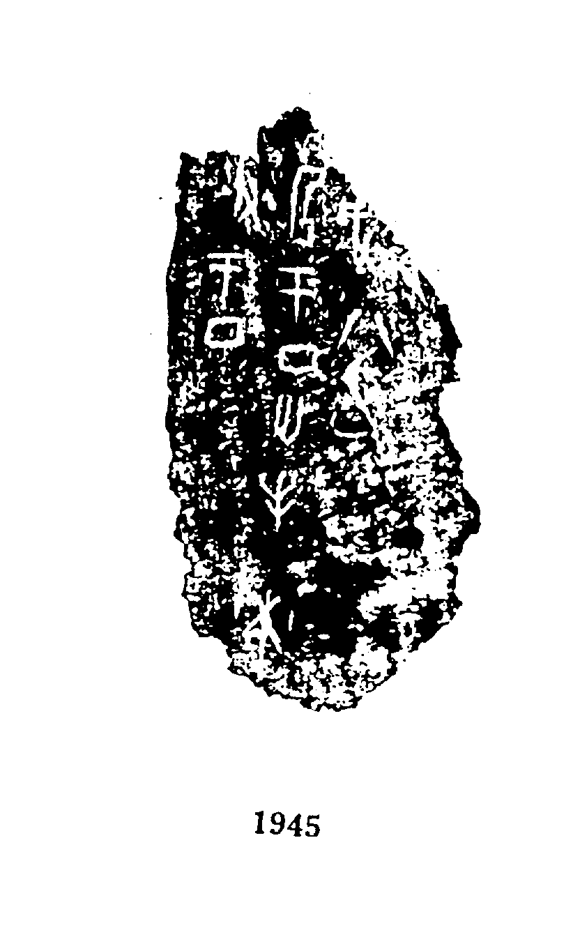 点击图片看大图