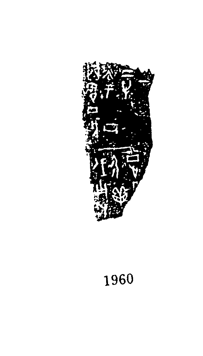点击图片看大图