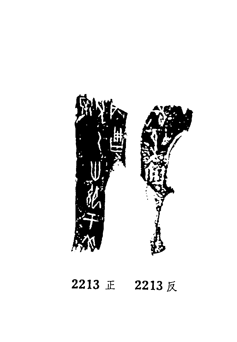 点击图片看大图