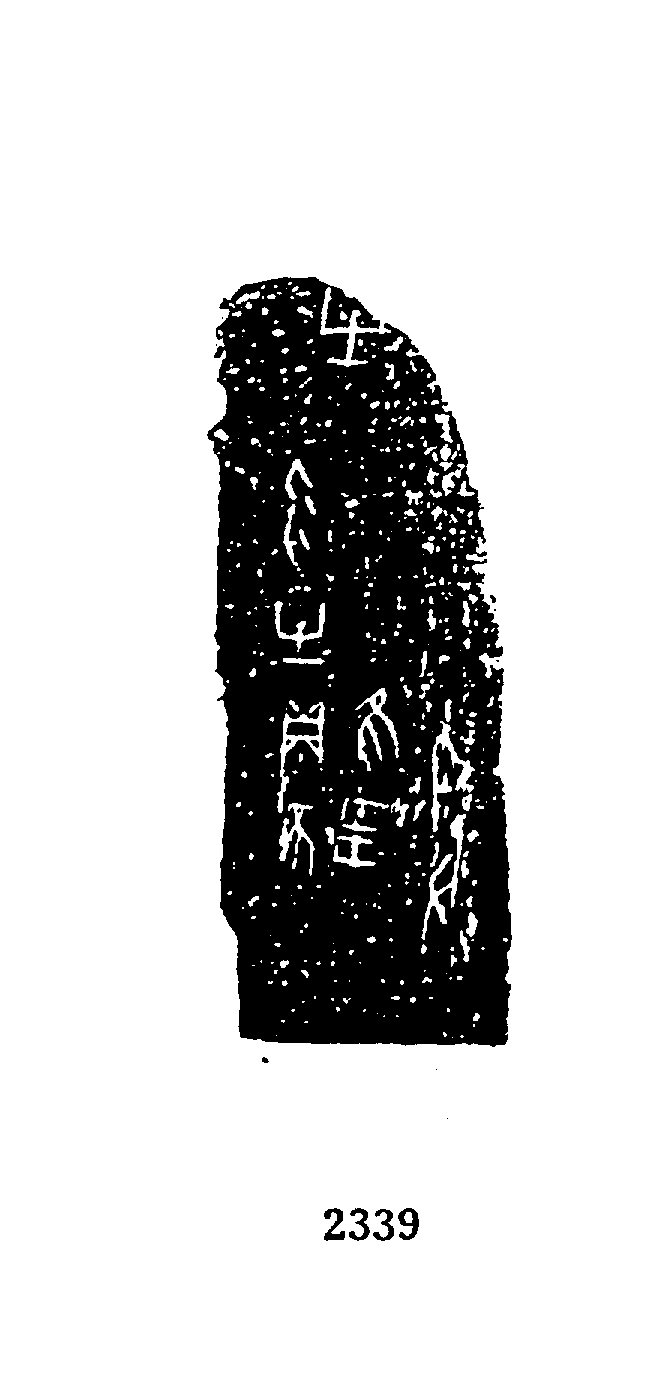 点击图片看大图