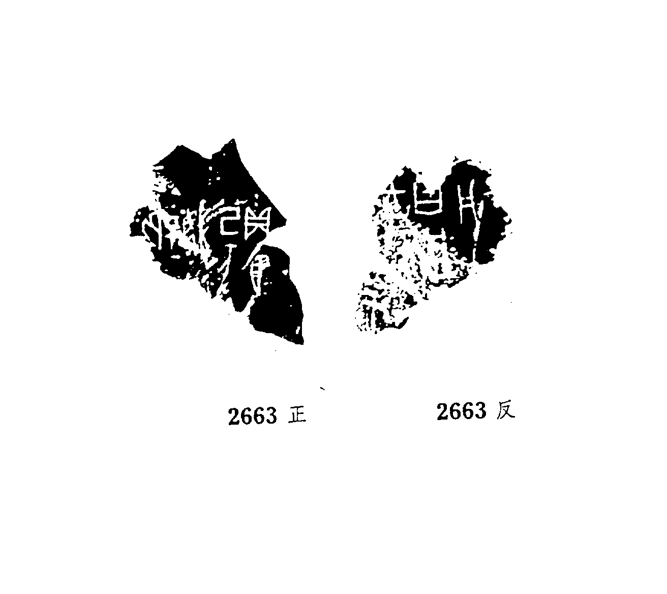 点击图片看大图
