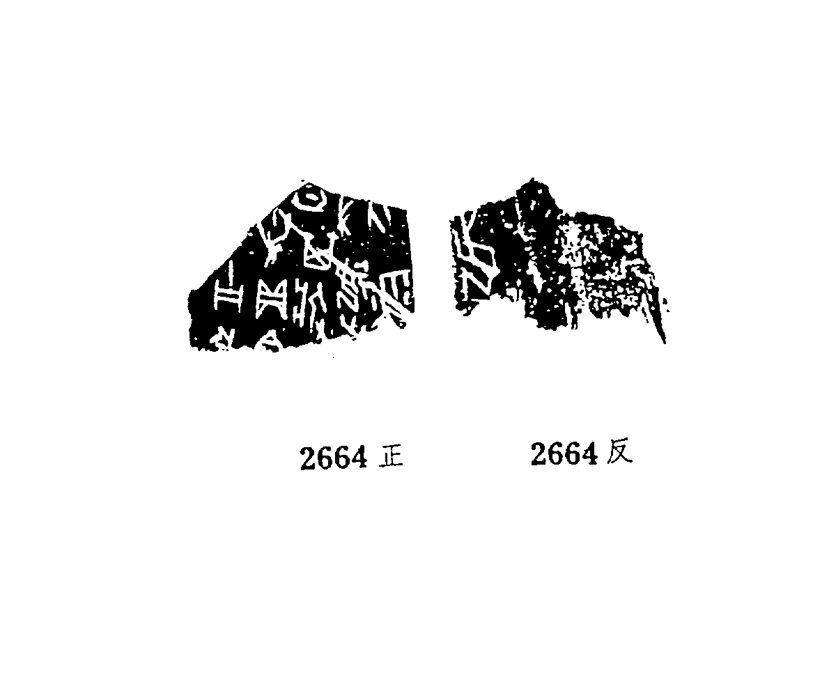点击图片看大图