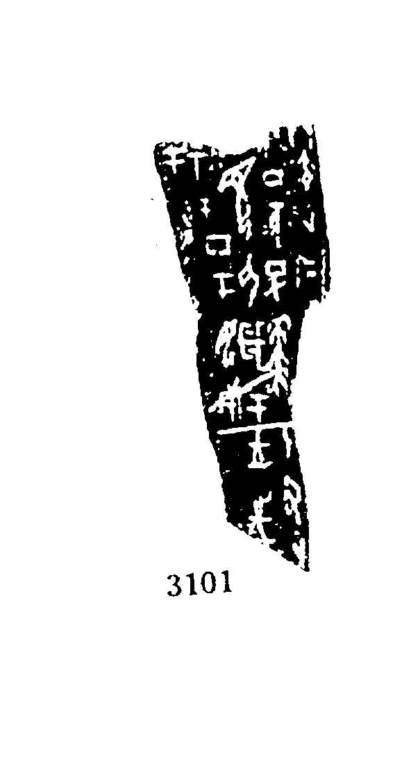 点击图片看大图