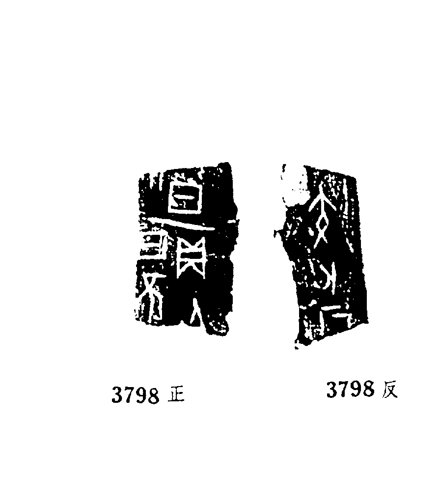 点击图片看大图