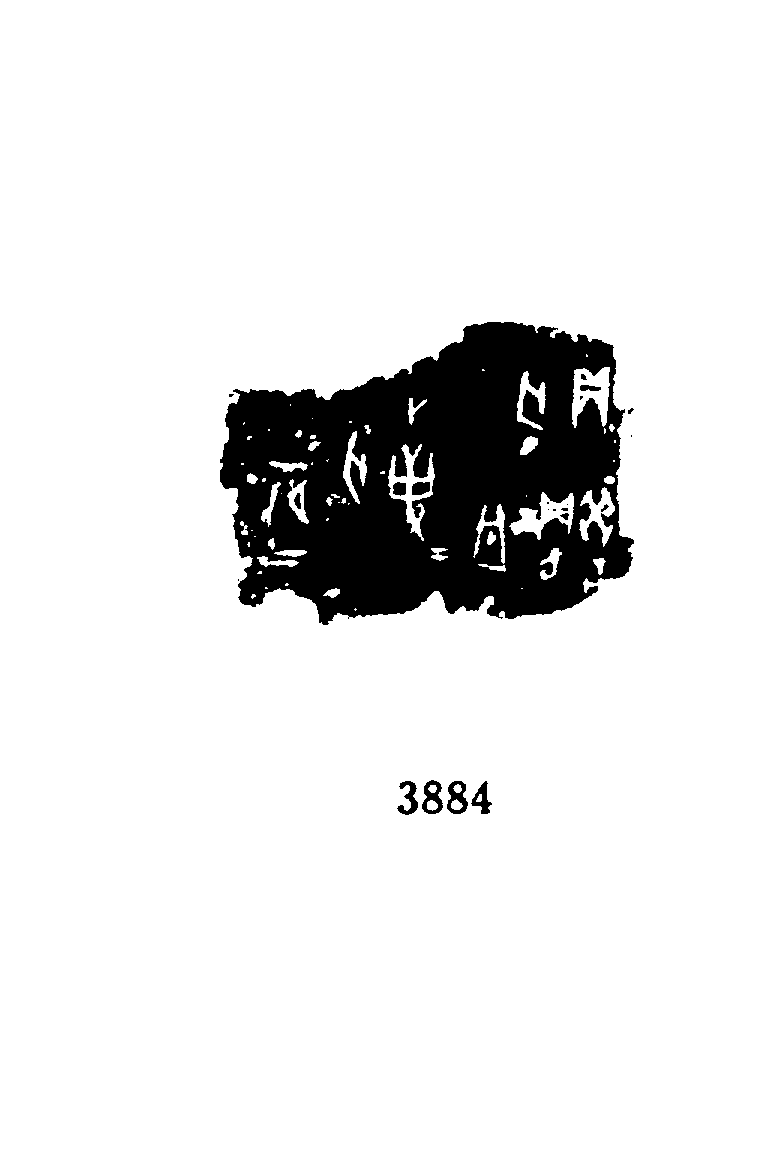 点击图片看大图