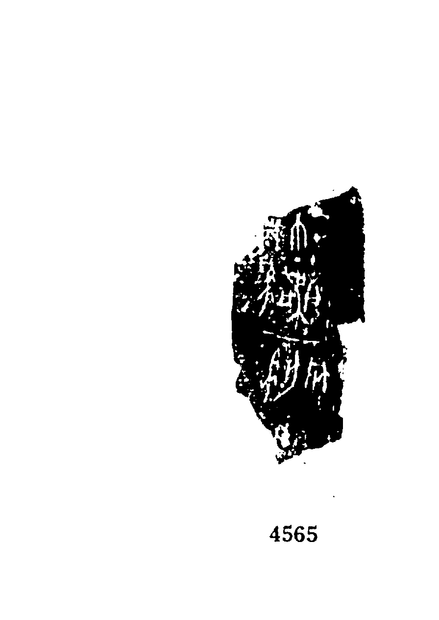 点击图片看大图