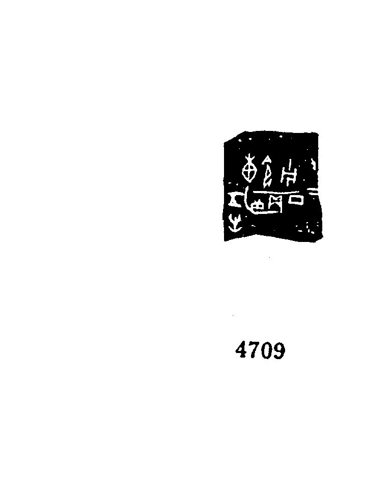 点击图片看大图