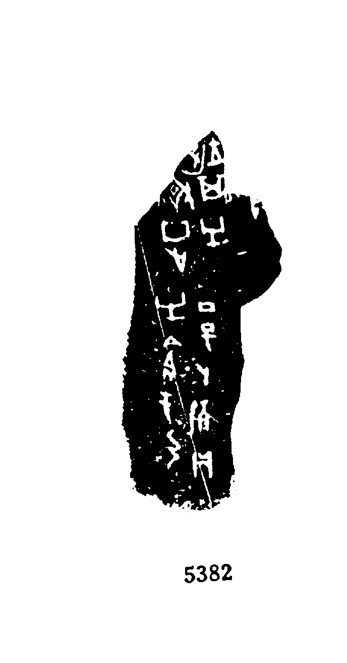 点击图片看大图