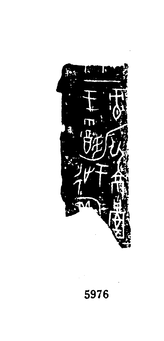 点击图片看大图