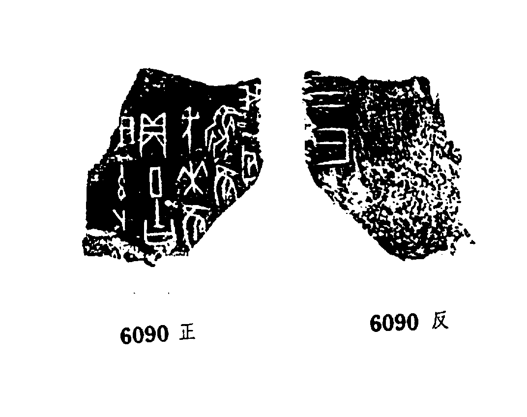 点击图片看大图