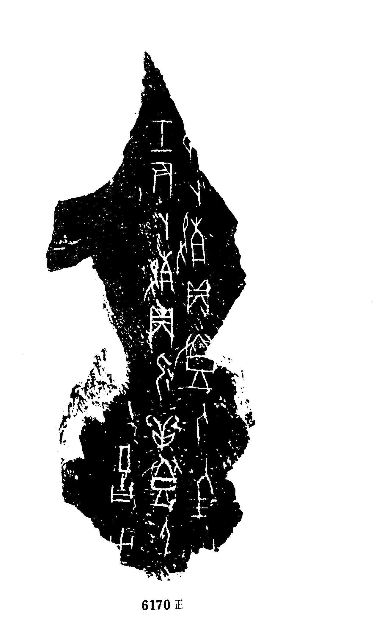 点击图片看大图