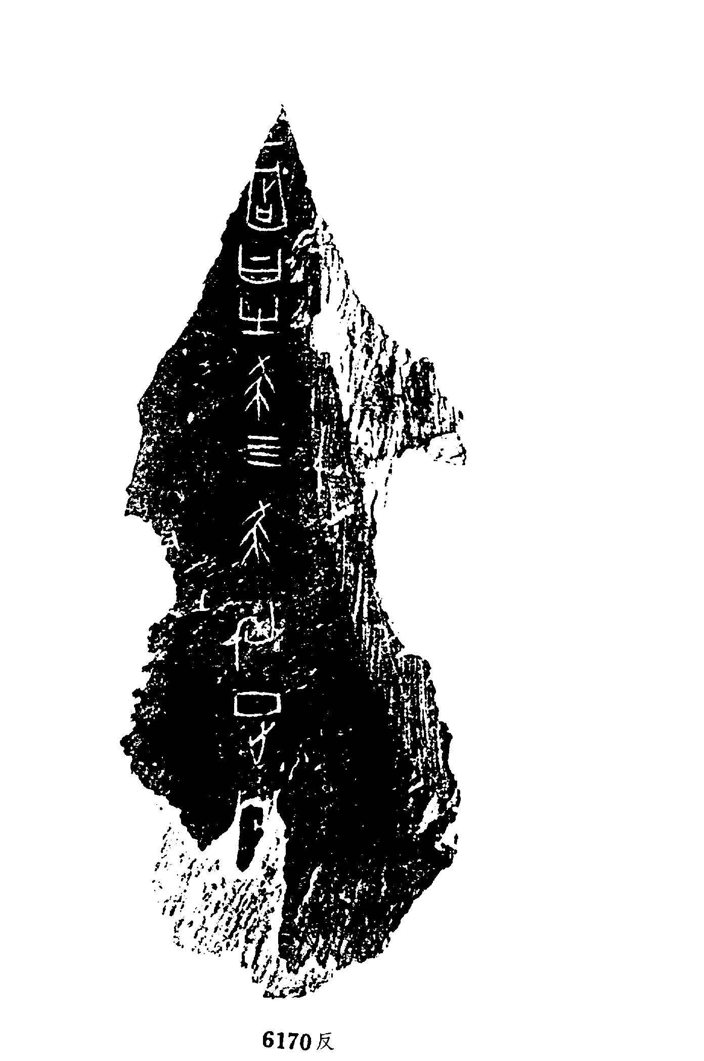 点击图片看大图