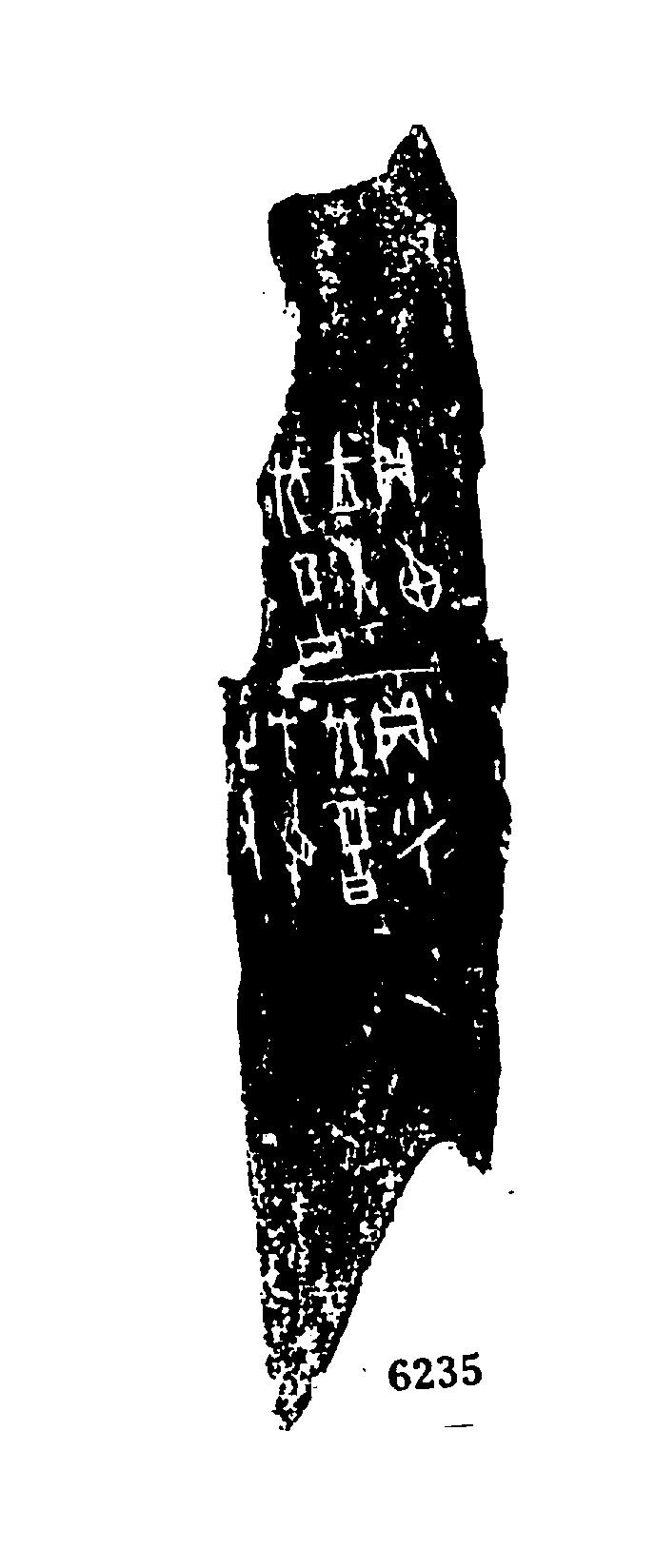 点击图片看大图