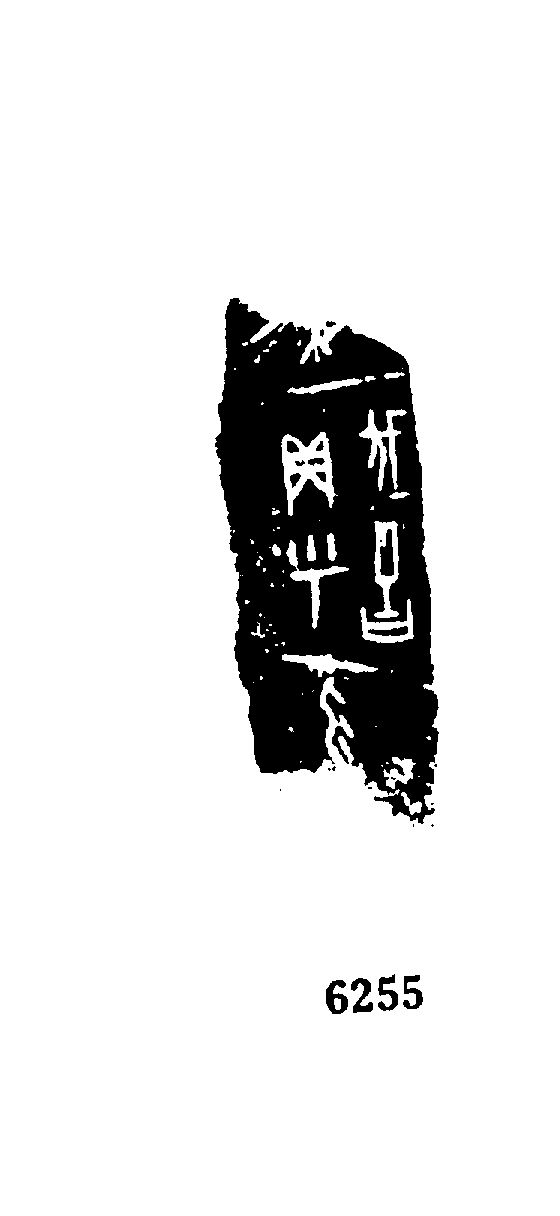 点击图片看大图