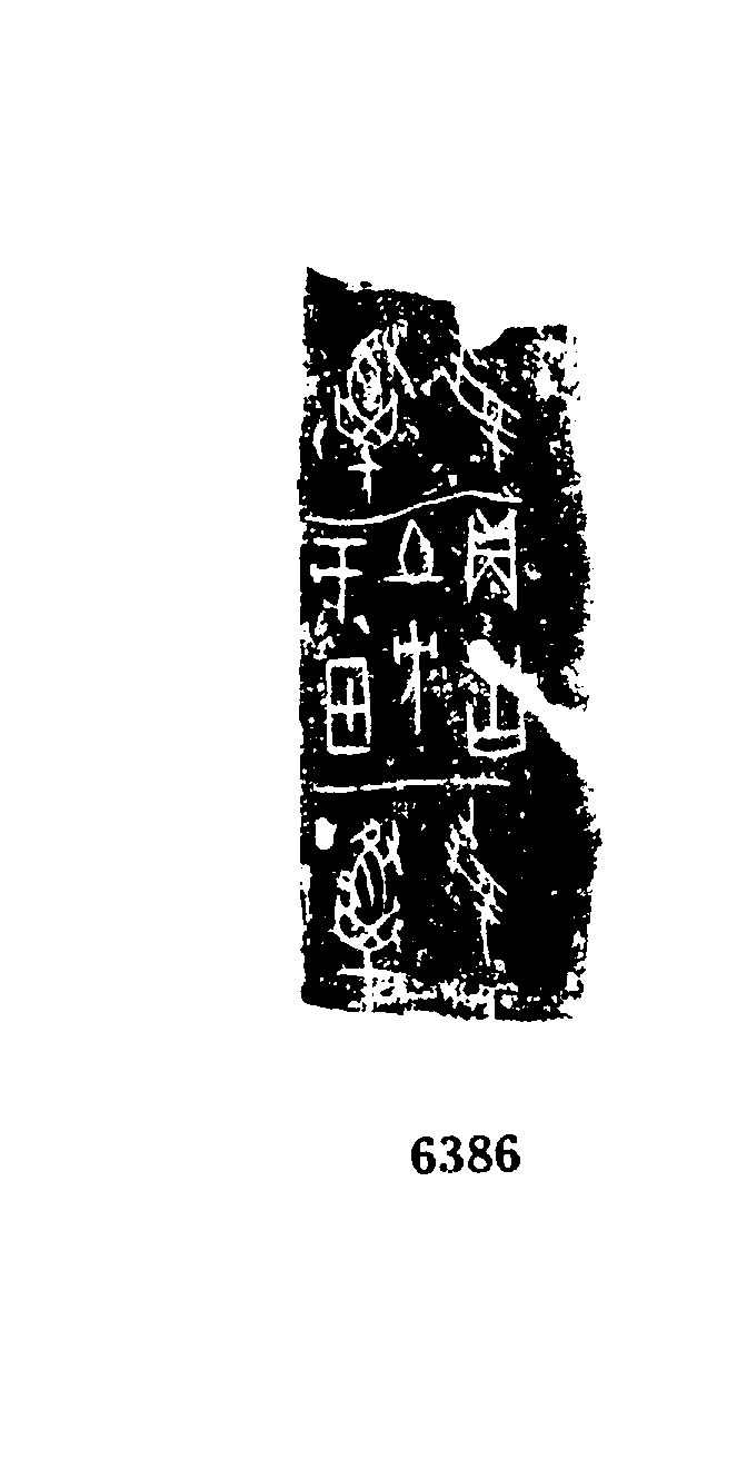 点击图片看大图
