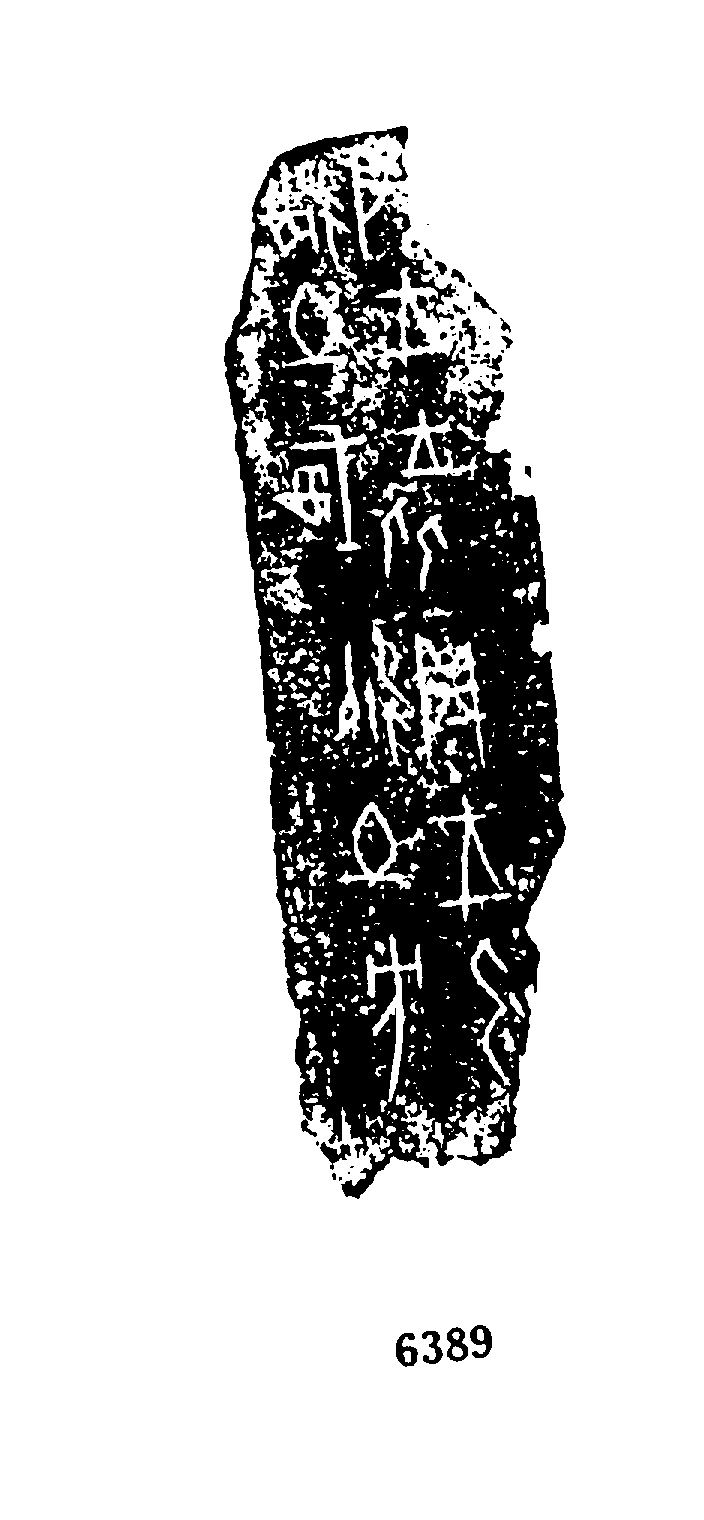 点击图片看大图