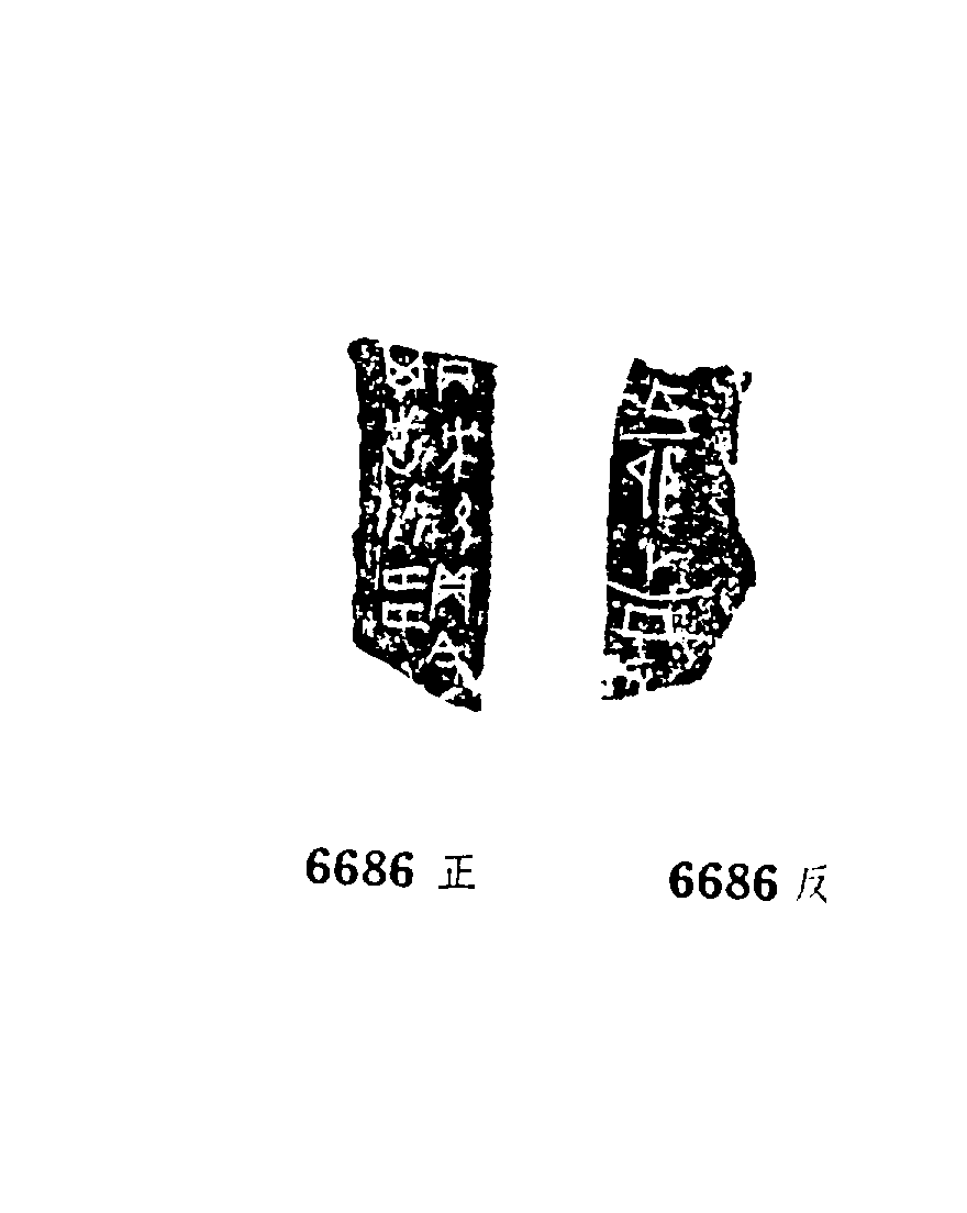 点击图片看大图