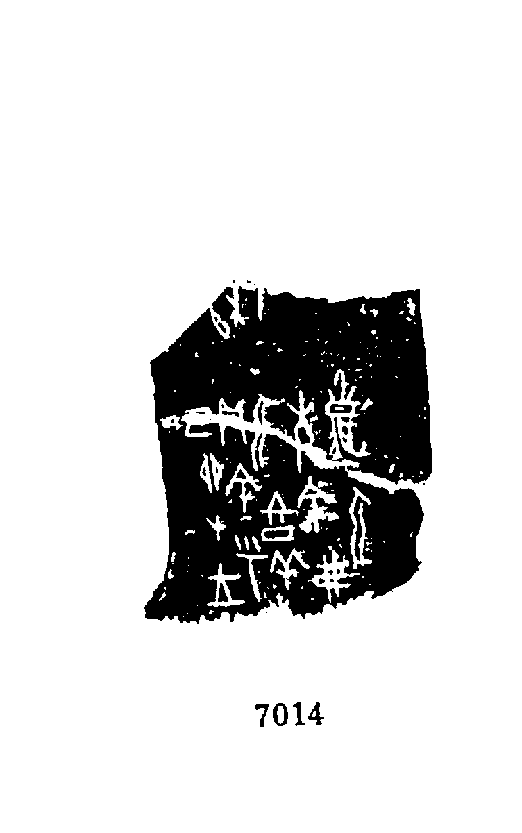 点击图片看大图