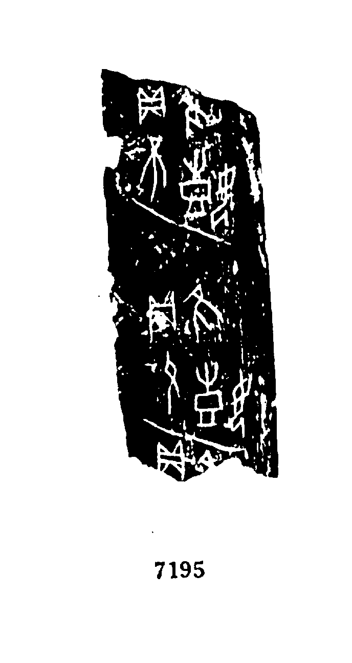 点击图片看大图