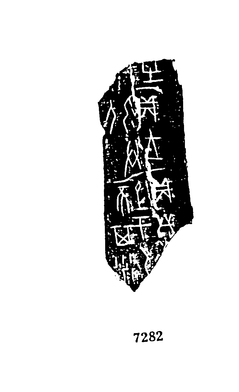 点击图片看大图