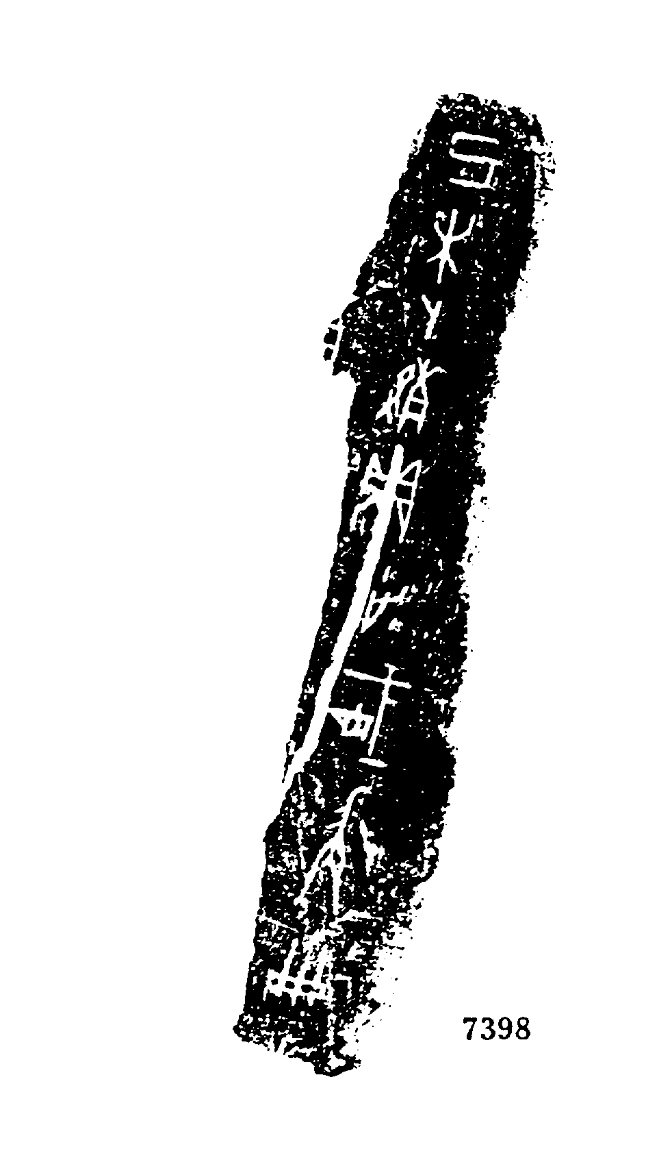 点击图片看大图