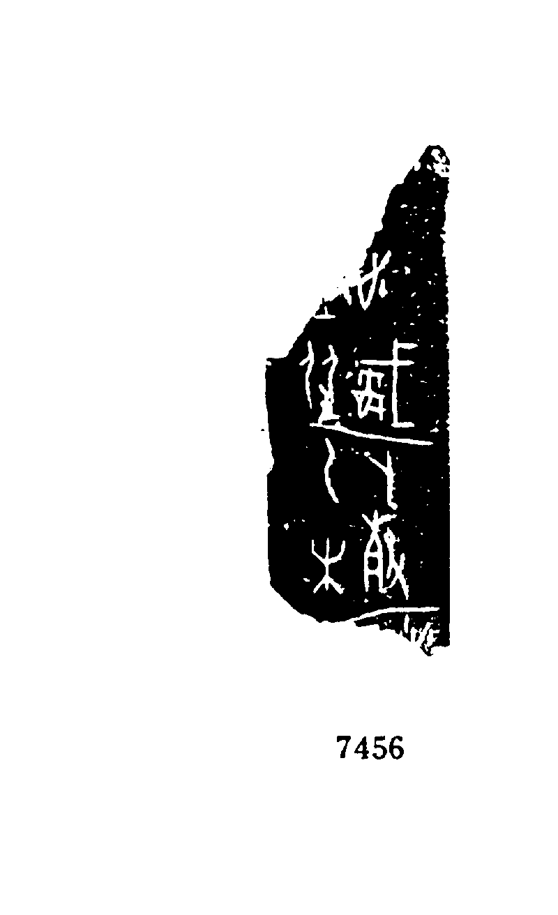 点击图片看大图