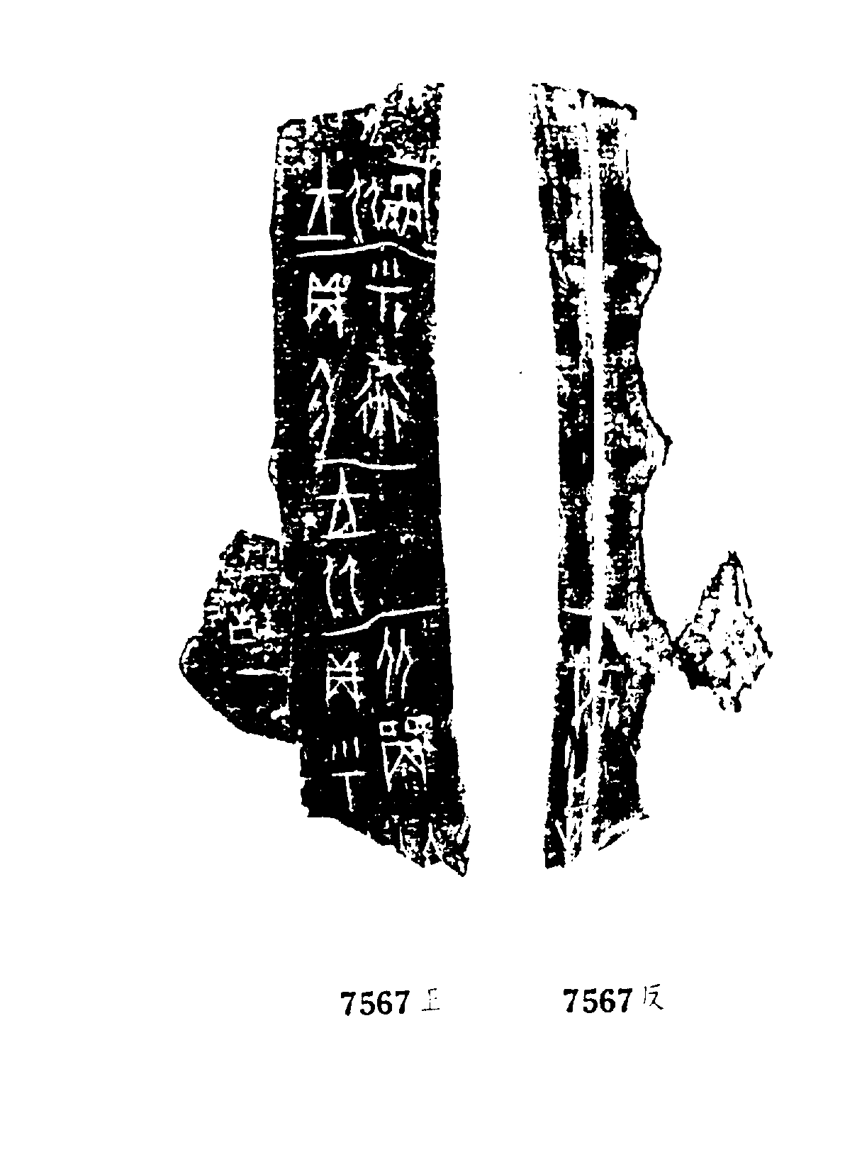 点击图片看大图