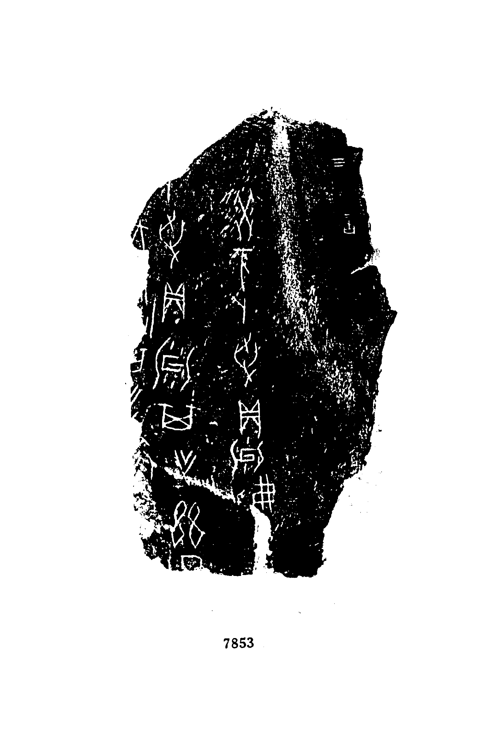 点击图片看大图