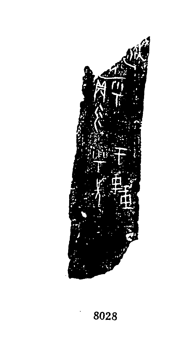 点击图片看大图