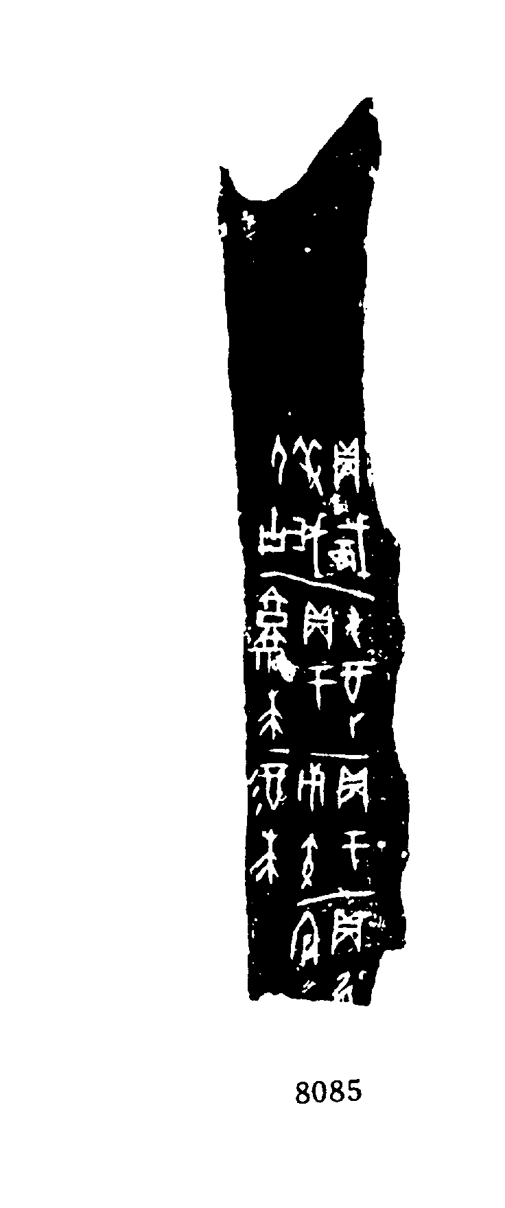 点击图片看大图