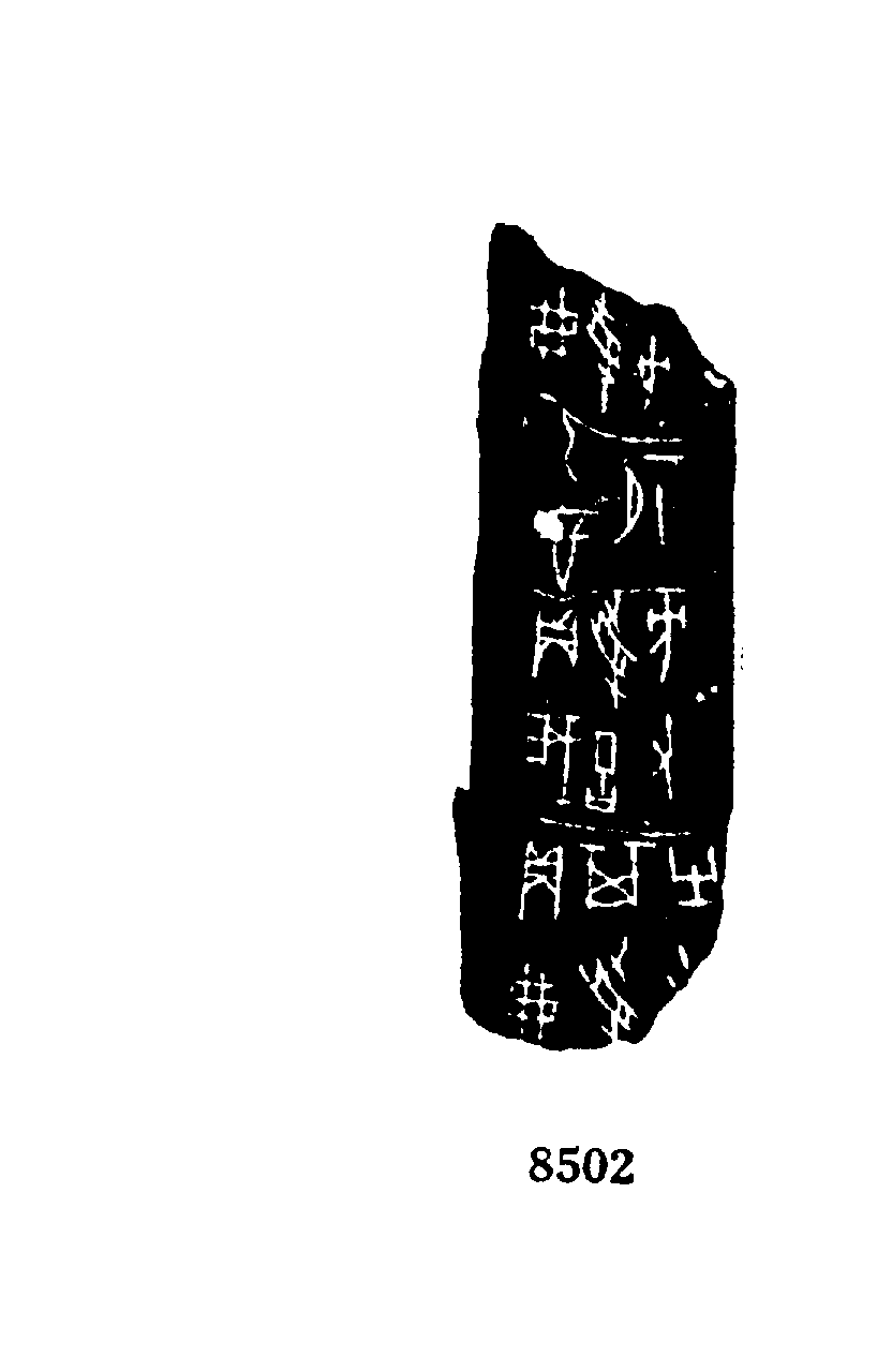 点击图片看大图