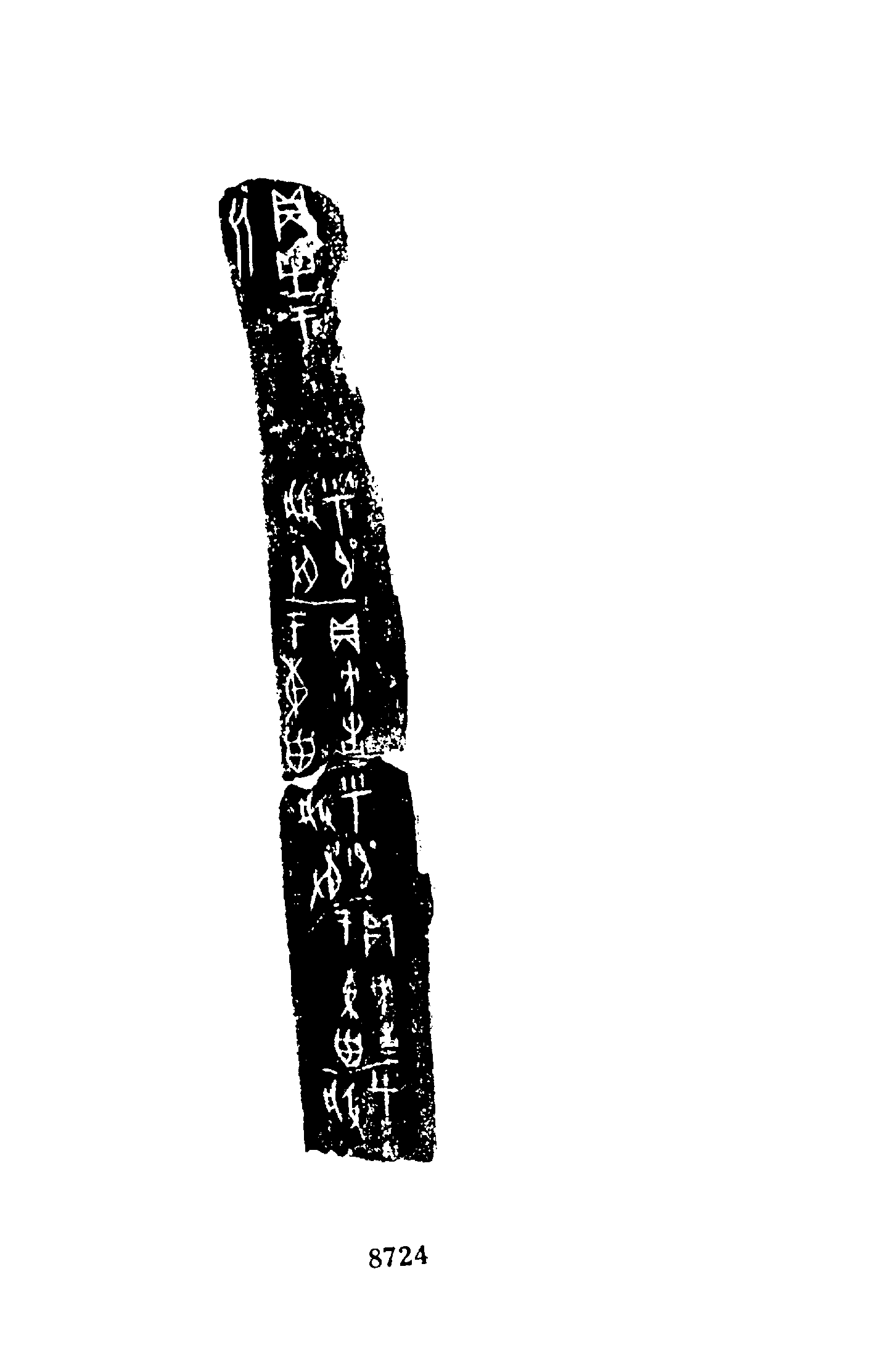 点击图片看大图