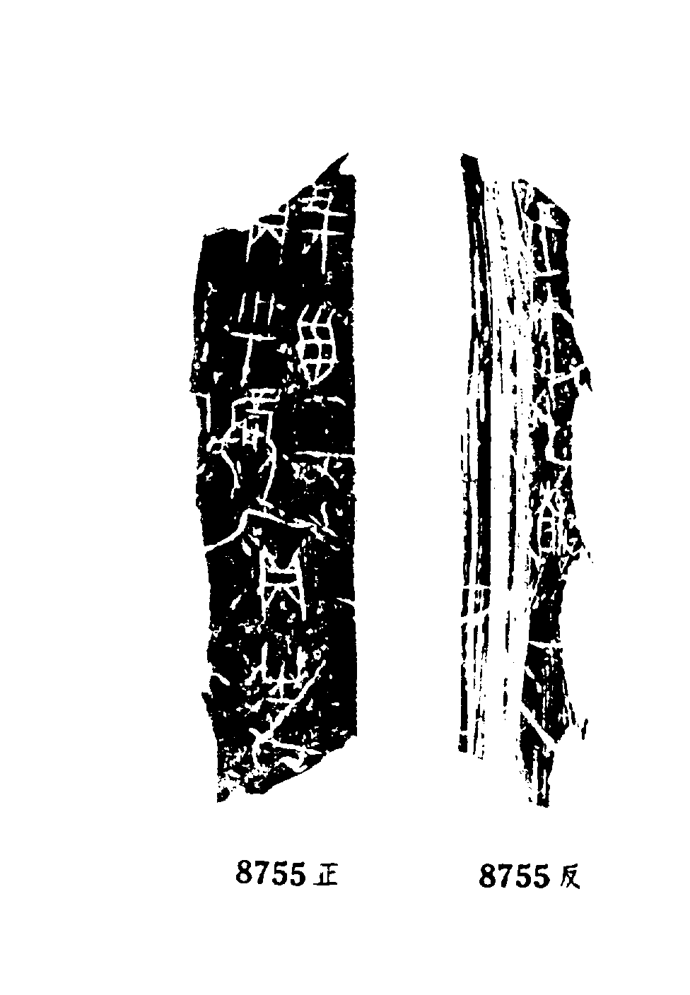 点击图片看大图