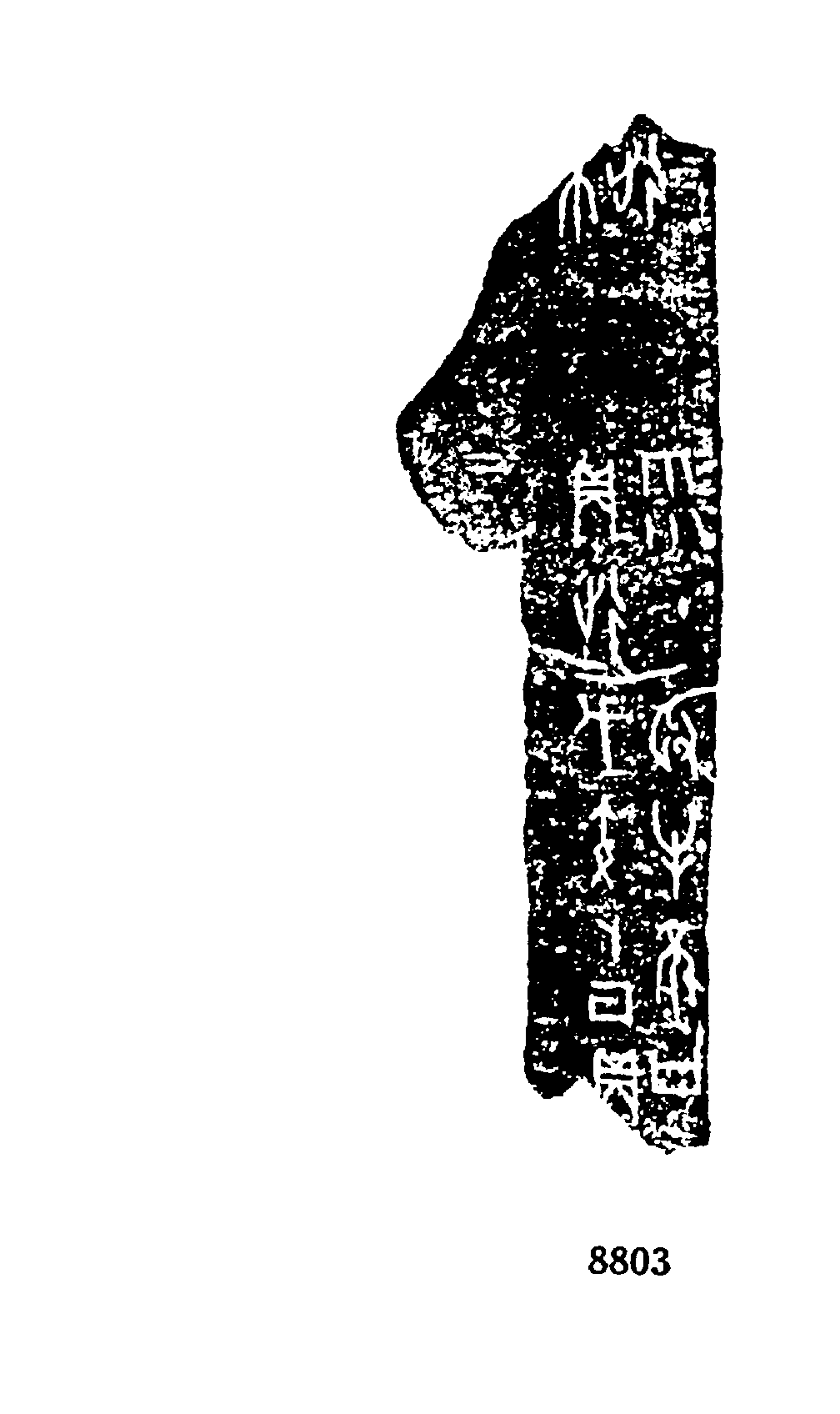 点击图片看大图