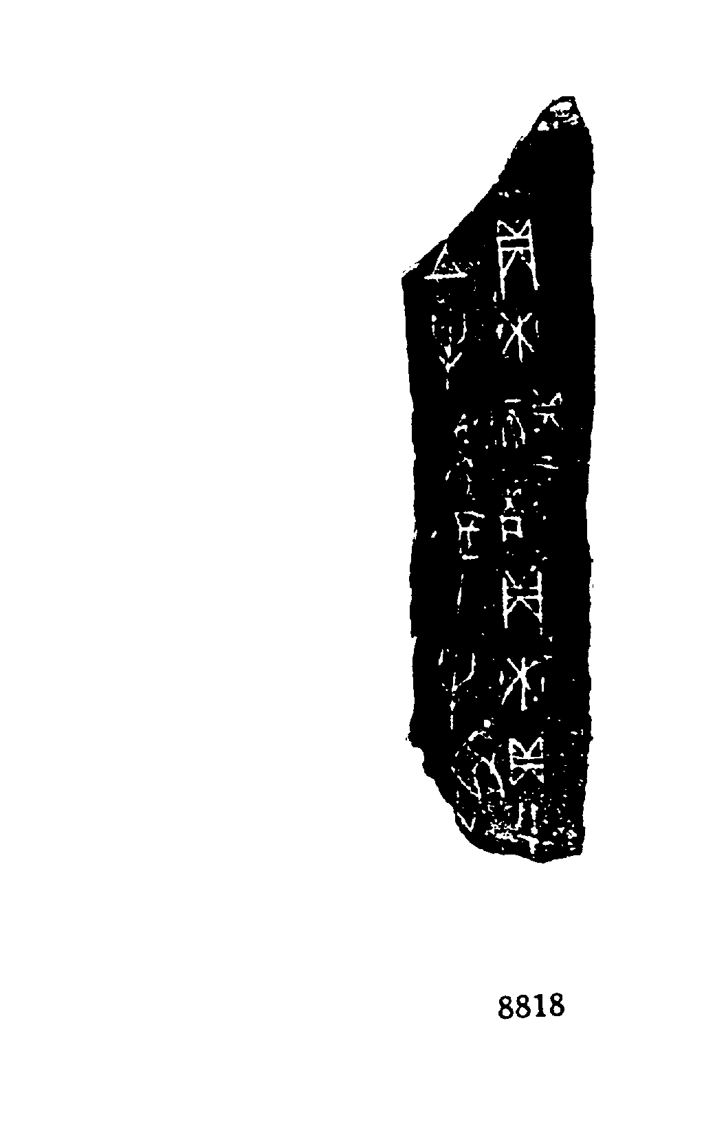 点击图片看大图