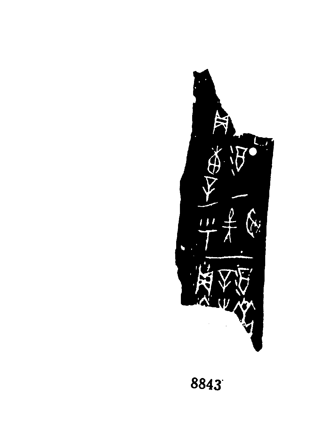 点击图片看大图