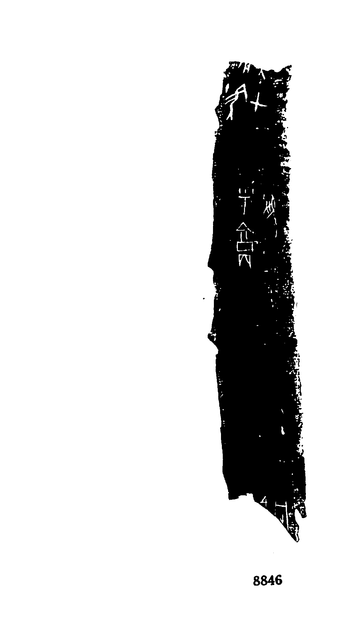 点击图片看大图