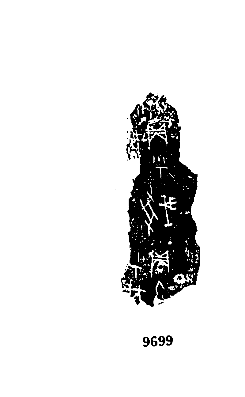 点击图片看大图