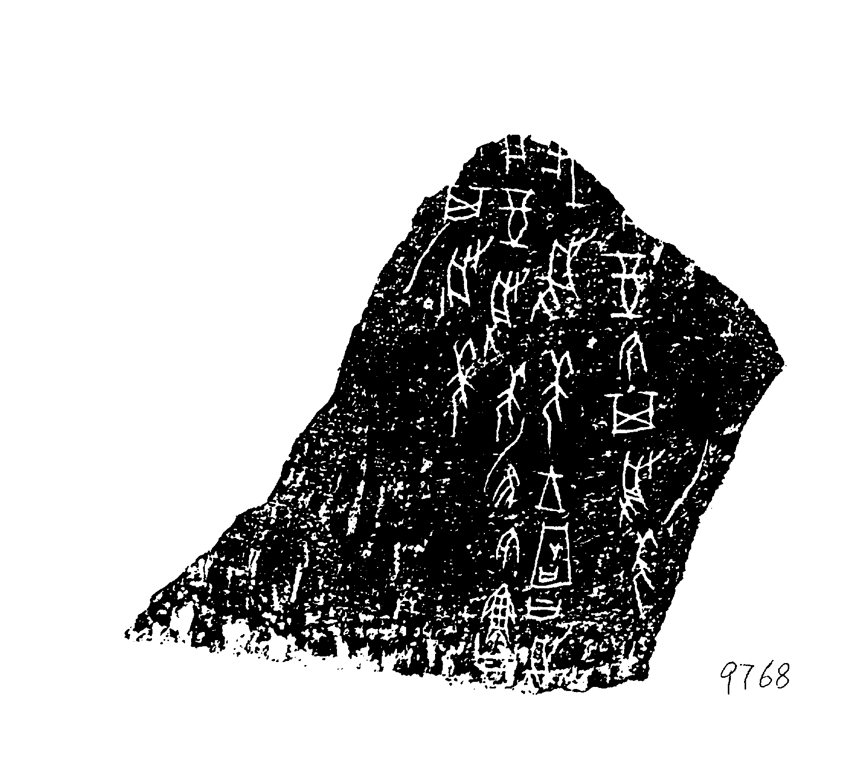 点击图片看大图