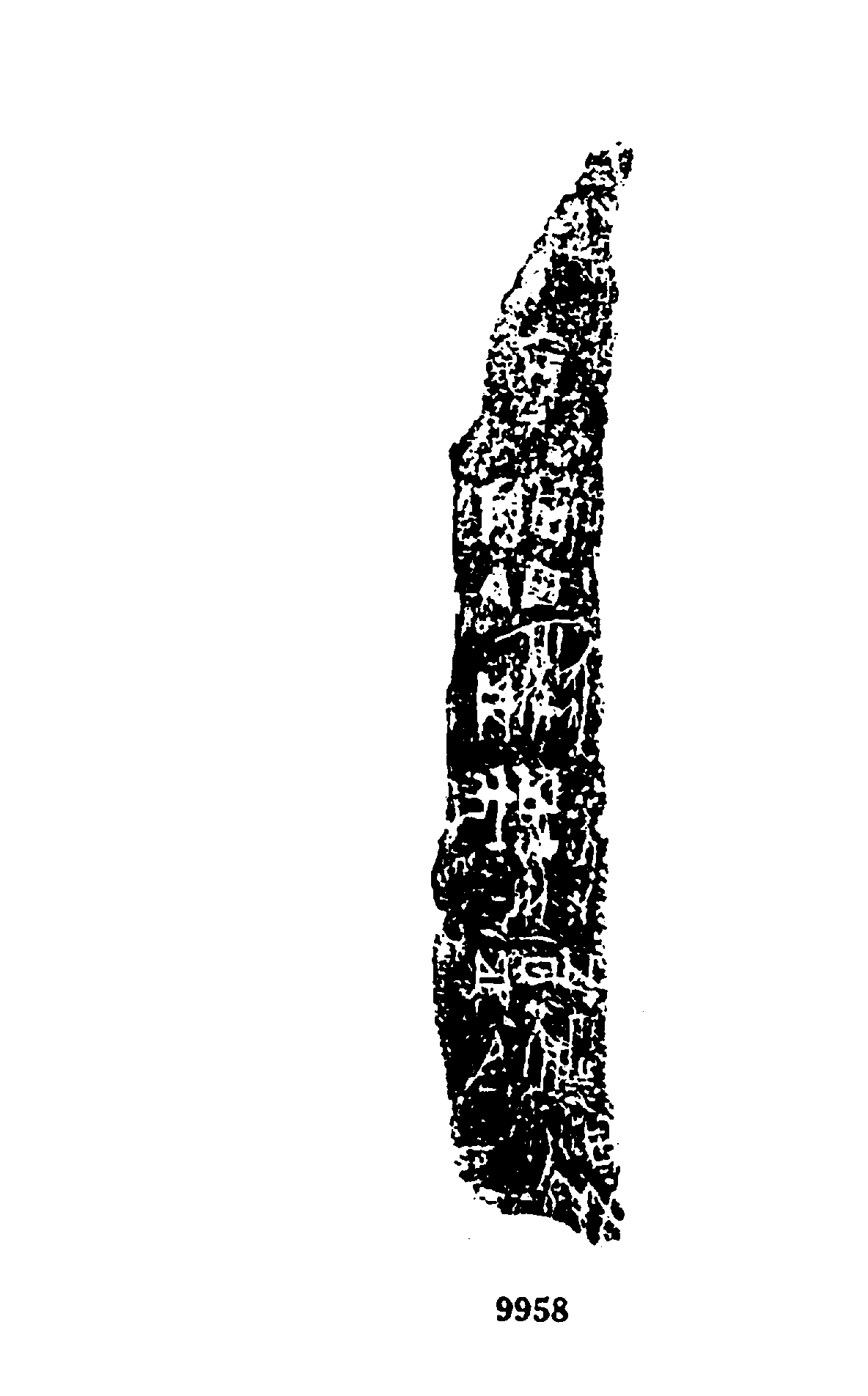 点击图片看大图