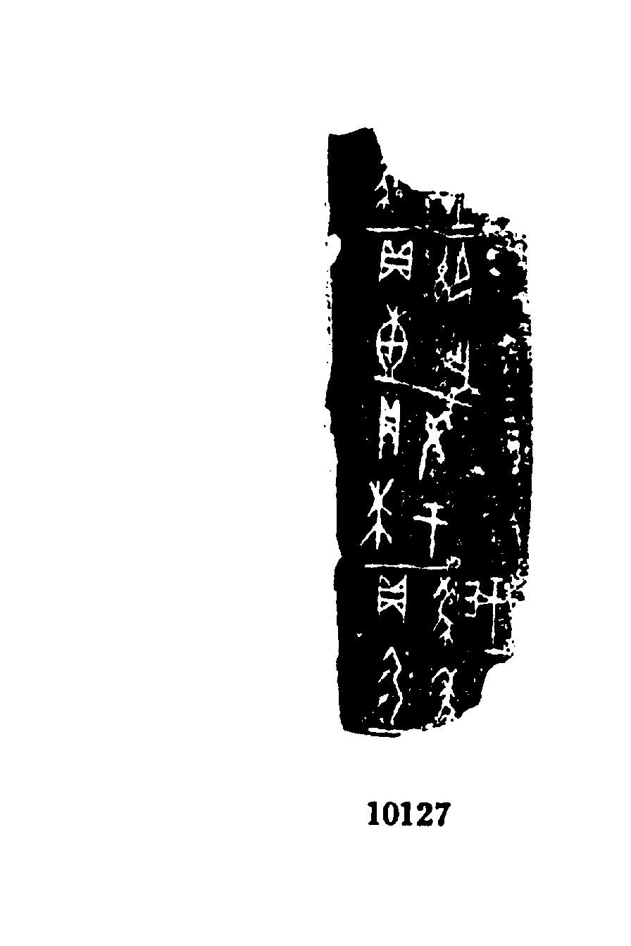 点击图片看大图