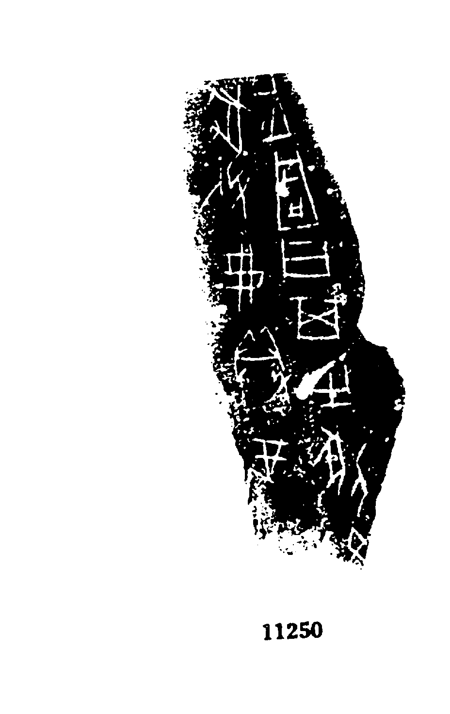 点击图片看大图