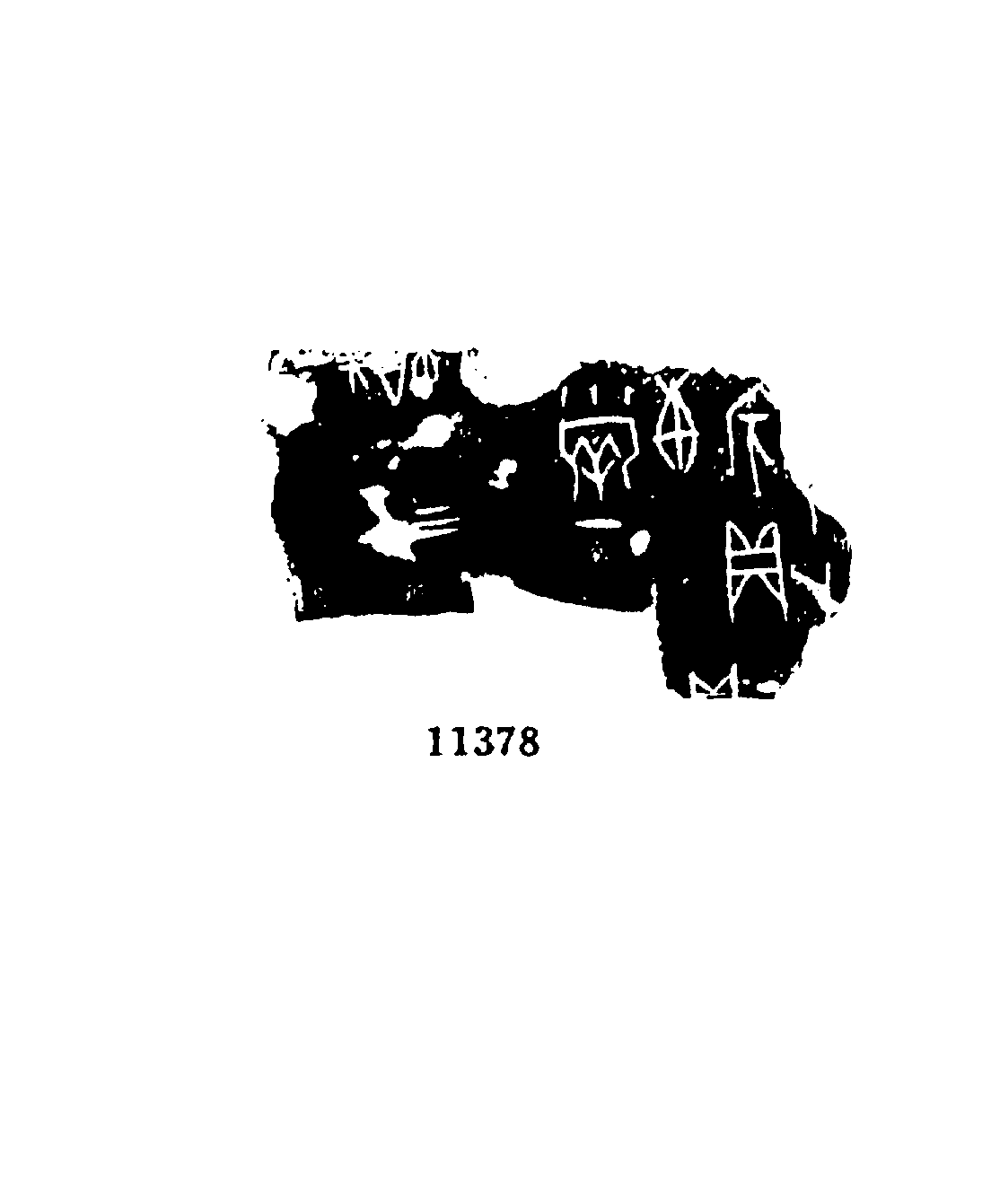 点击图片看大图