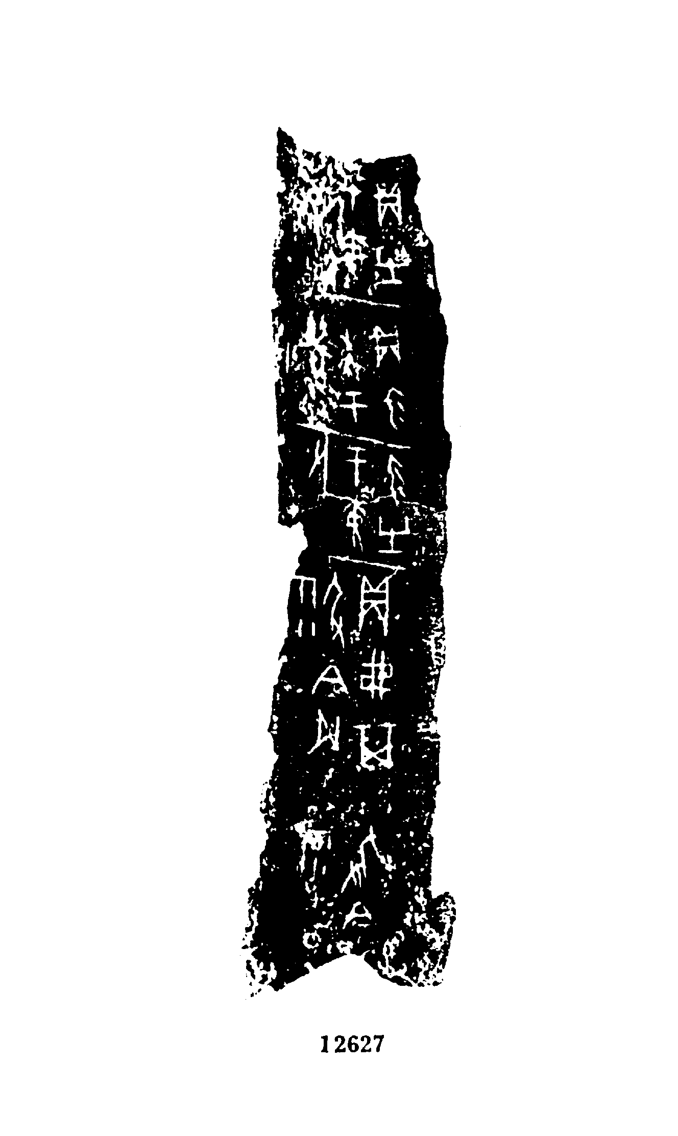 点击图片看大图