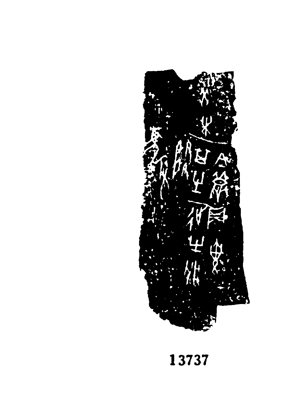 点击图片看大图